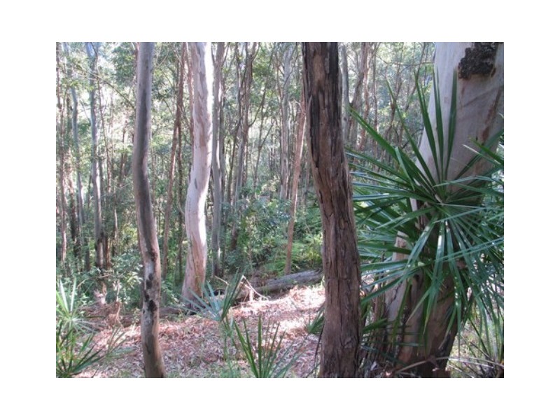Cootharaba QLD 4565