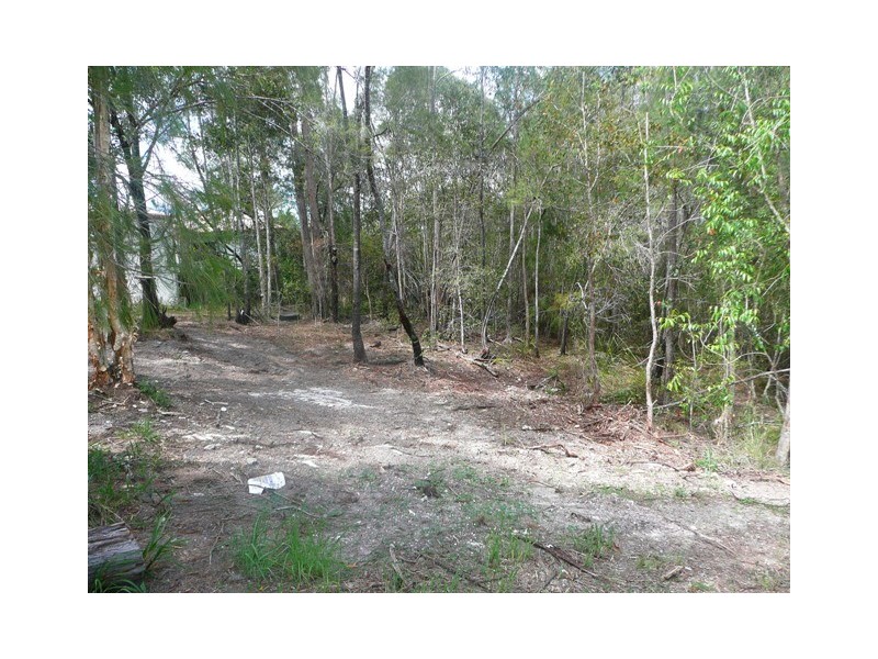 Tewantin QLD 4565