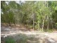 Tewantin QLD 4565