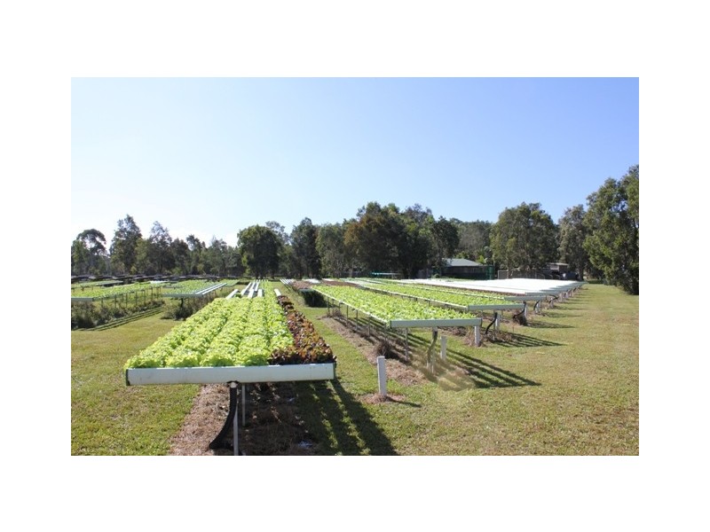 Cooroibah QLD 4565