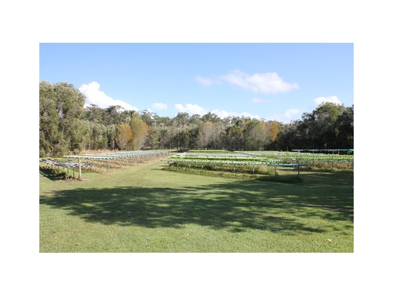 Cooroibah QLD 4565