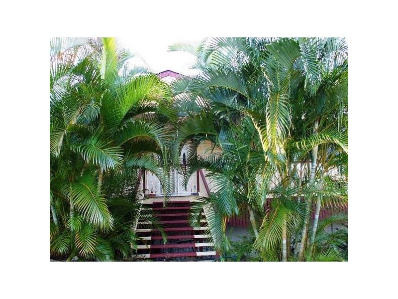 Piccabeen Street, Doonan QLD 4562