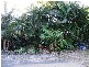 Piccabeen Street, Doonan QLD 4562