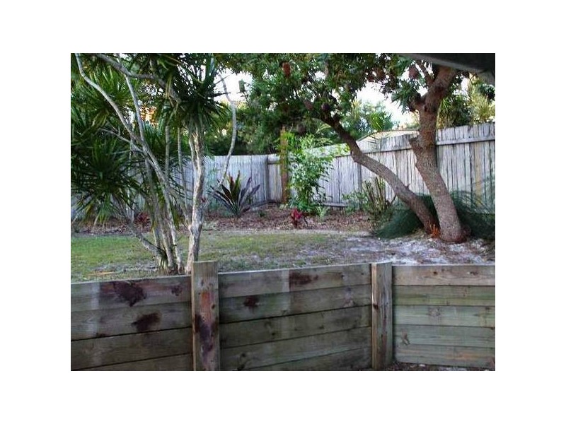 Elanora Street, Noosa Heads QLD 4567