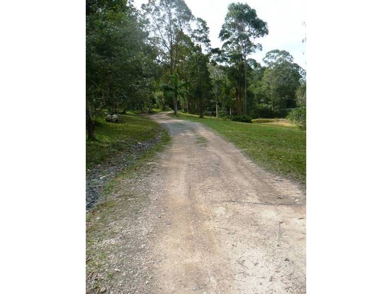 Ringtail Creek QLD 4565