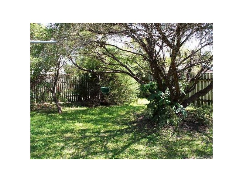 4 Agrippa Crescent, Tewantin QLD 4565