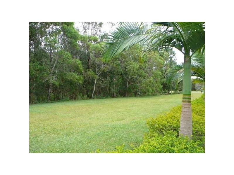 4 Lomandra Place, Tewantin QLD 4565