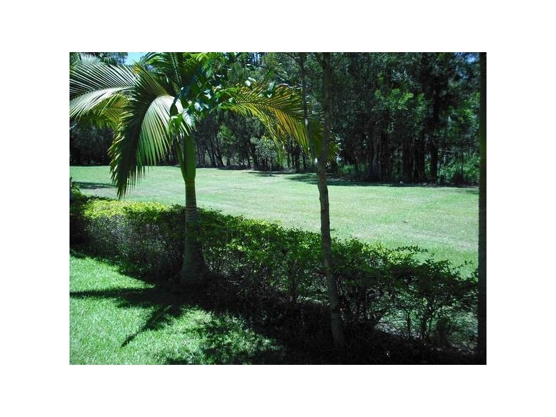 4 Lomandra Place, Tewantin QLD 4565