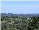 Eumundi QLD 4562