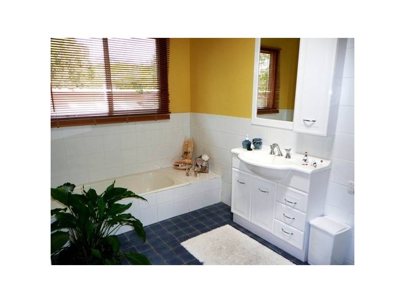 17 Butler Street, Tewantin QLD 4565