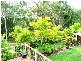 Tewantin QLD 4565