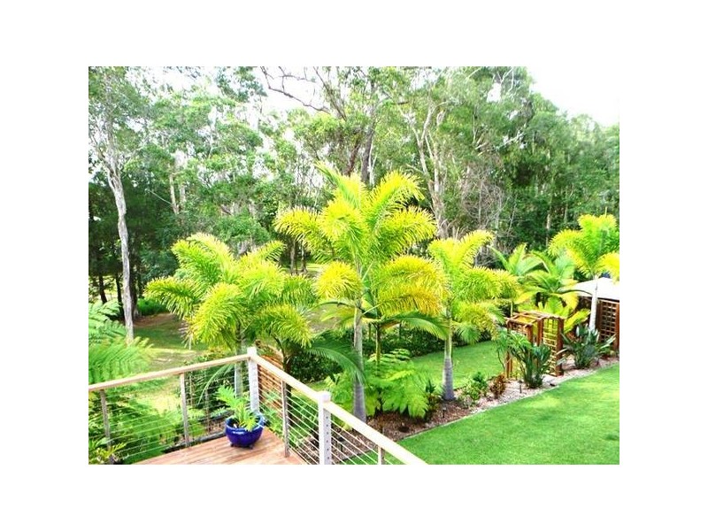 Tewantin QLD 4565