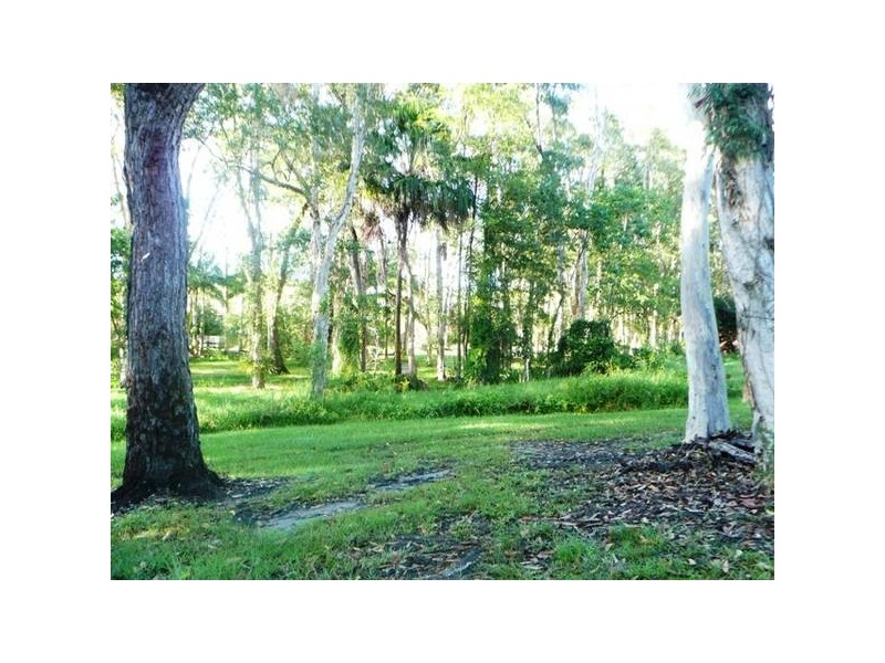 Tewantin QLD 4565