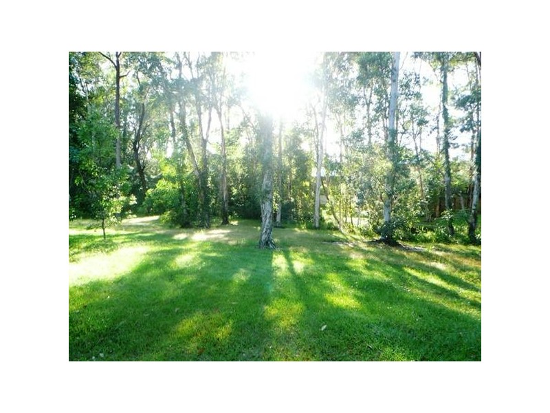 Tewantin QLD 4565