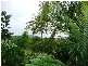 Eumundi QLD 4562