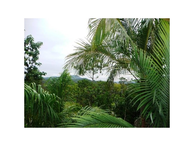 Eumundi QLD 4562