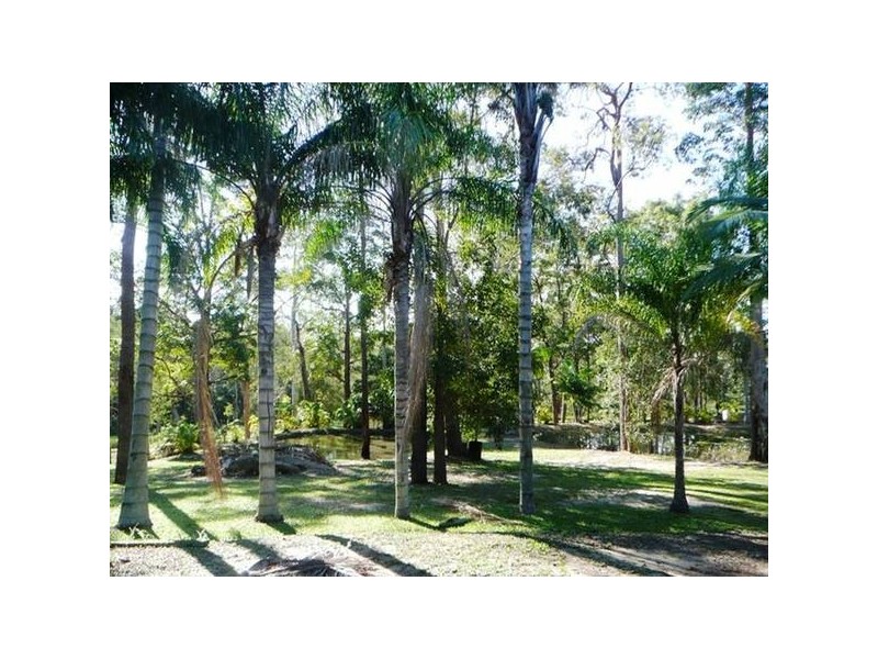 Doonan QLD 4562