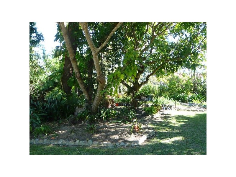 8 Tulip Lane, Cooroy QLD 4563