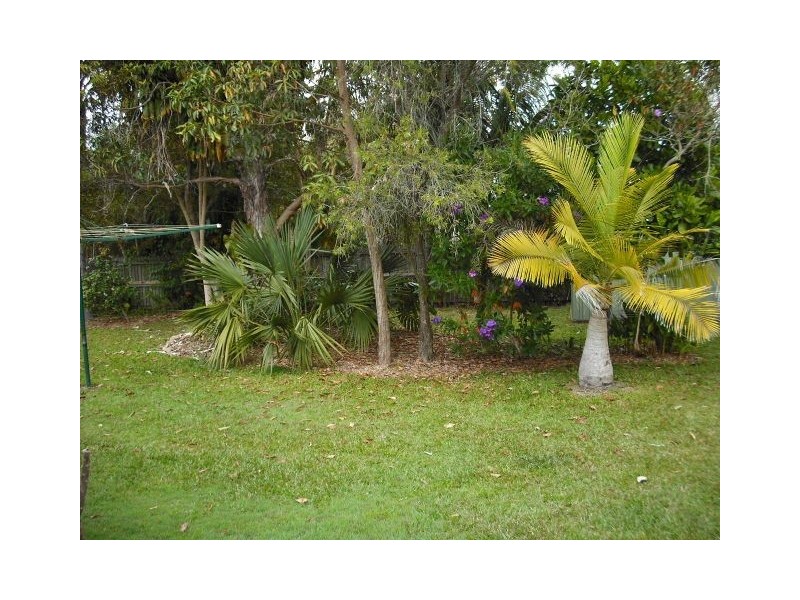 38 Carramar Street, Tewantin QLD 4565