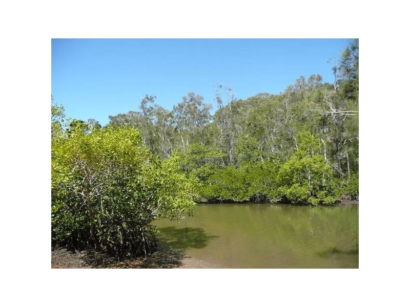 187 Hooper Crescent, Tewantin QLD 4565