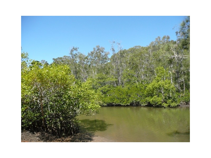 Lot 188, 45 Hooper Crescent, Tewantin QLD 4565