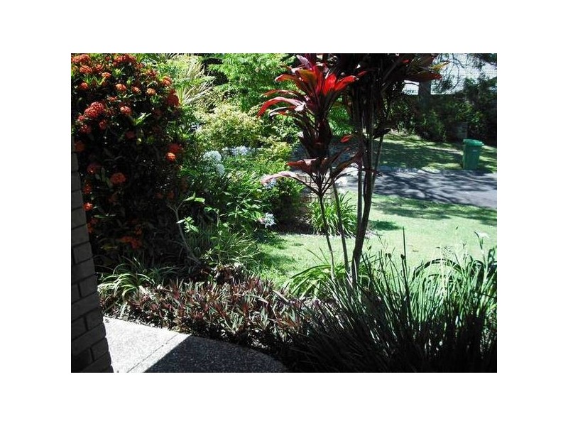 8 Flametree Drive, Tewantin QLD 4565