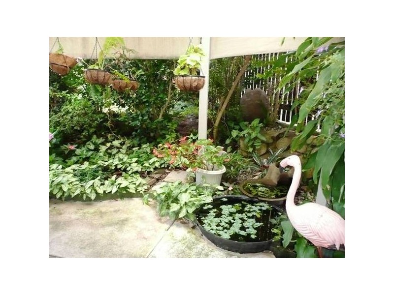 Tewantin QLD 4565