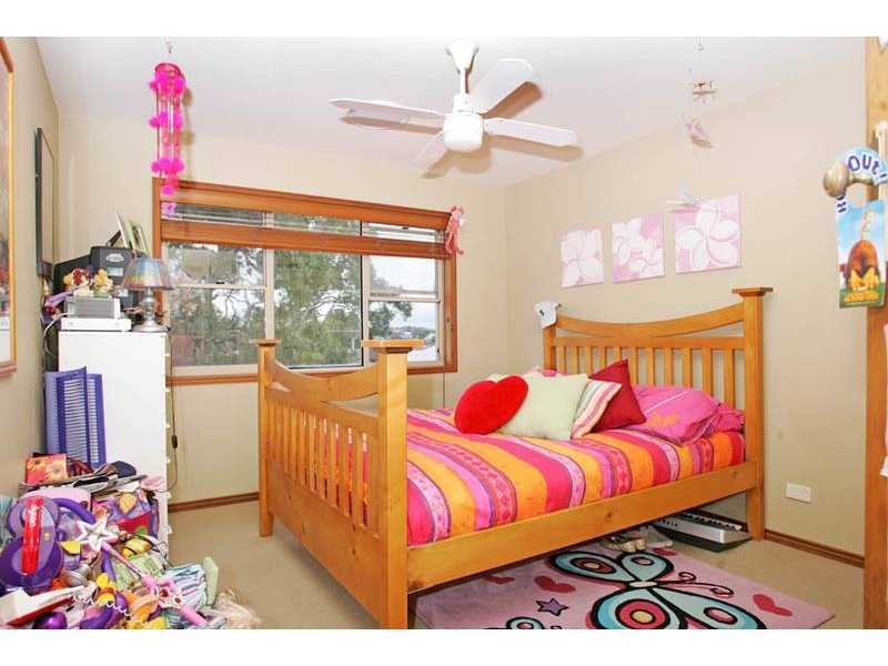 15 Thelma Street, Shelly Beach NSW 2261