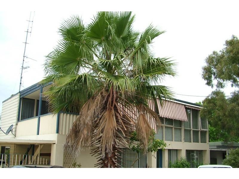 Bateau Bay NSW 2261