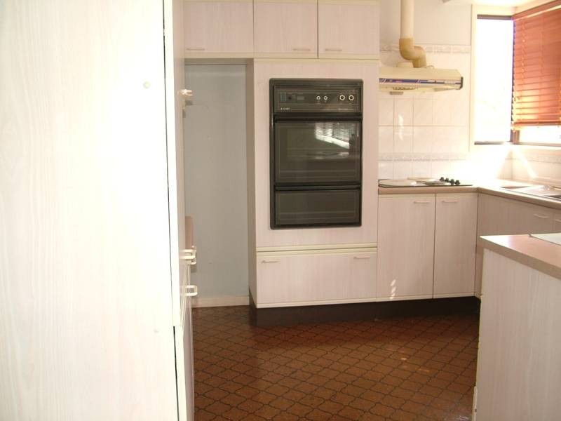 Shelly Beach NSW 2261