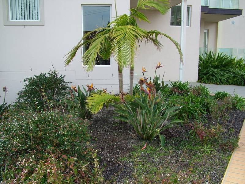 The Entrance NSW 2261