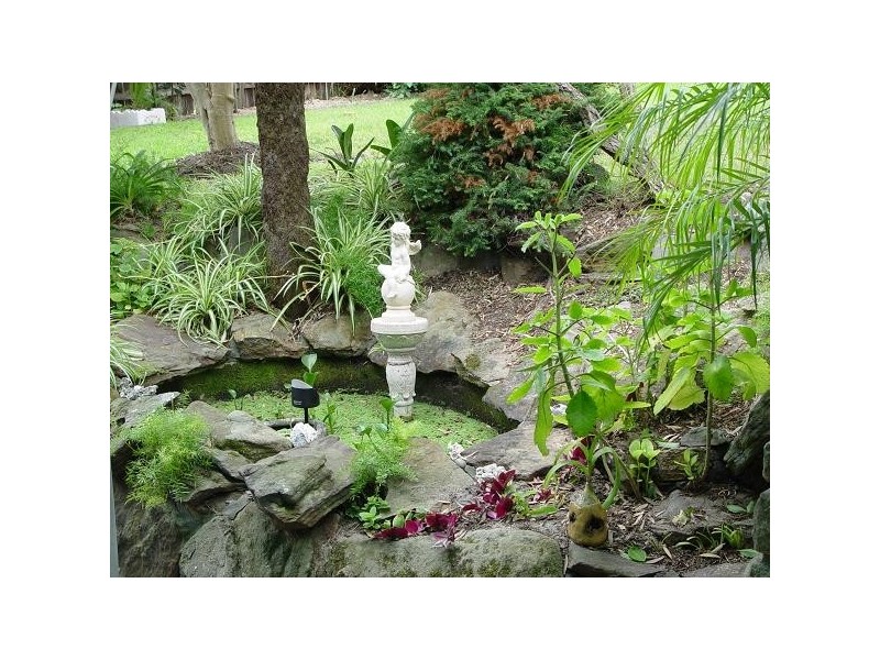 2 Lord Street, Shelly Beach NSW 2261