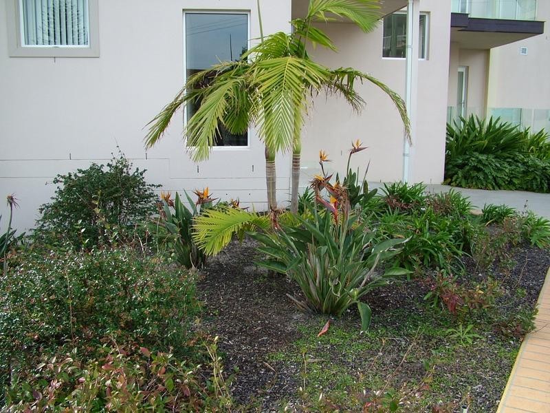 The Entrance NSW 2261