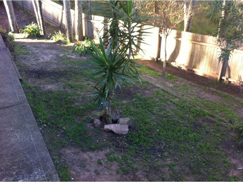 13 Cohen St, Wyong NSW 2259