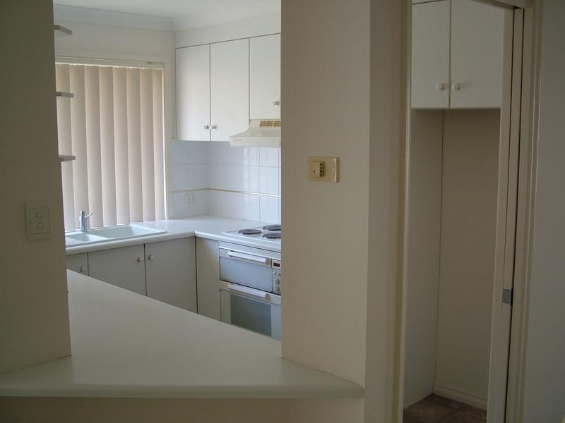 Shelly Beach NSW 2261