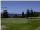Shelly Beach NSW 2261