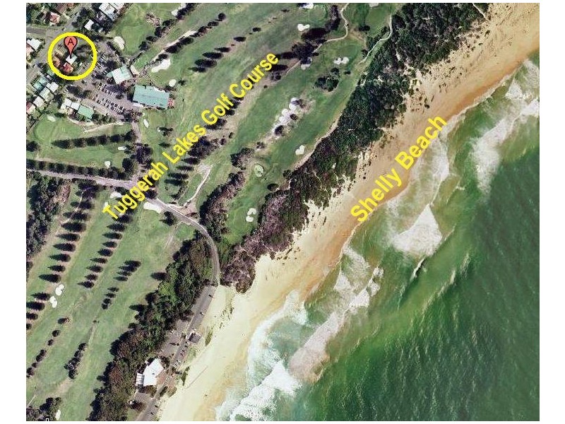 Shelly Beach NSW 2261