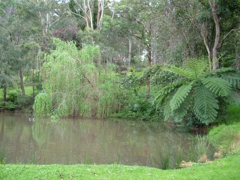 3 Corona Lane, Glenning Valley NSW 2261