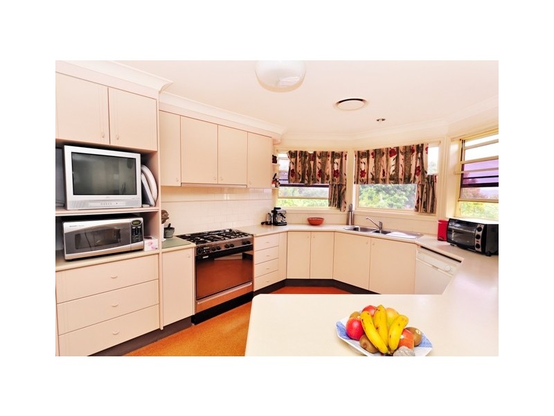 Shelly Beach NSW 2261