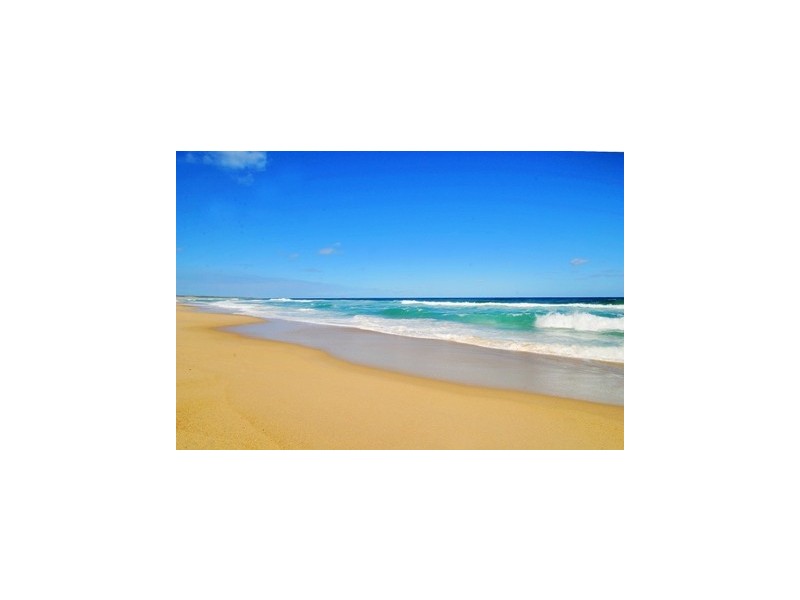 The Entrance North NSW 2261