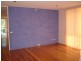 Killarney Vale NSW 2261