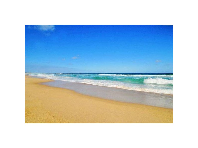 The Entrance North NSW 2261