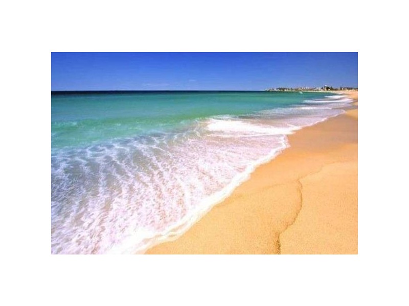 The Entrance North NSW 2261