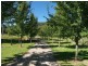 Palm Grove NSW 2258