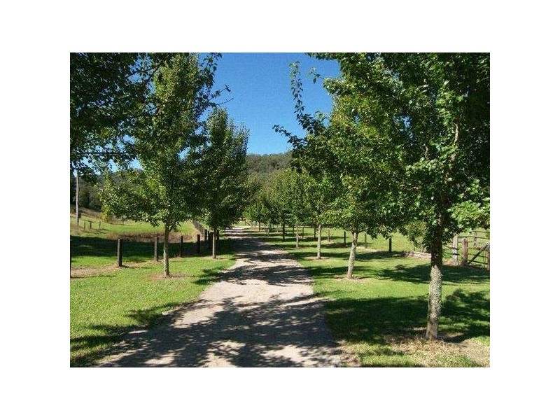 Palm Grove NSW 2258