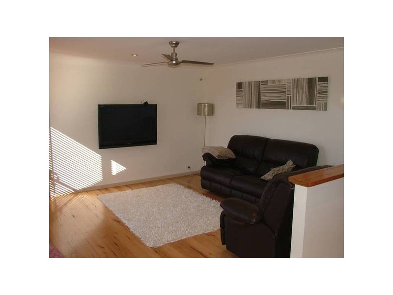 Shelly Beach NSW 2261