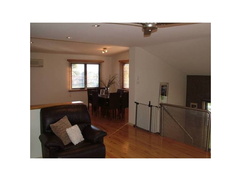 Shelly Beach NSW 2261