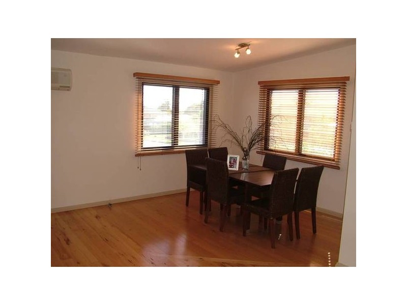 Shelly Beach NSW 2261