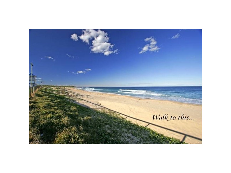 Shelly Beach NSW 2261