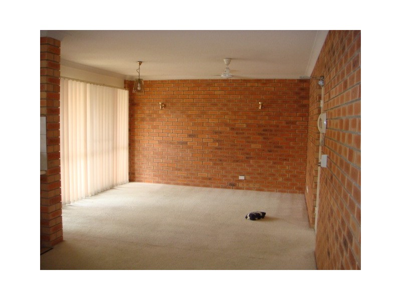 3/237 Sir Fred Schonell Drive, St Lucia QLD 4067